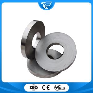 301 Stainless Steel Strip