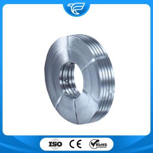 309S Stainless Steel Strip