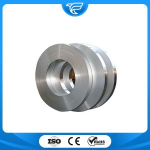 310 Stainless Steel Strip