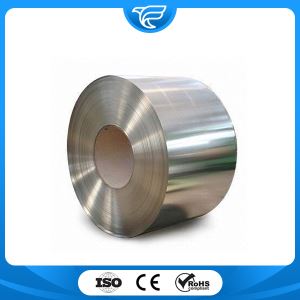 Hot/Cold Rolled Stainless Steel Coil