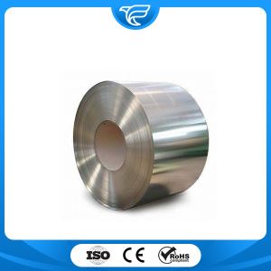 Hot Rolled Stainless Steel Coil 316